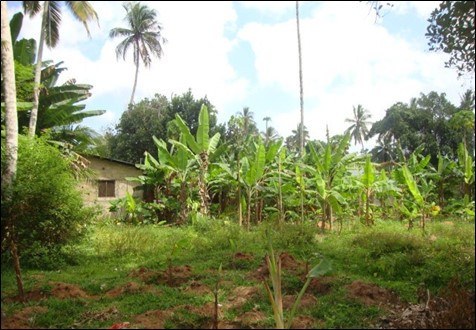 File:History of Samachar 6.jpg