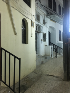 Mansions behind the Wall-Oman.png