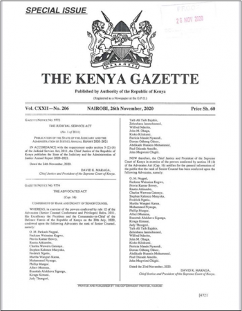 Zehrabani Janmohamed 3.png